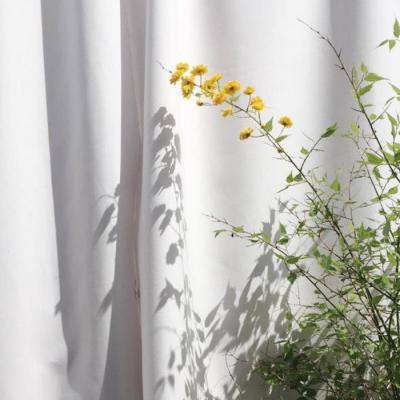 万博体育官方版下载