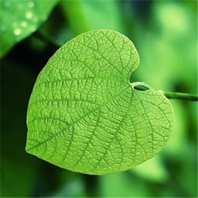 hth华体育(中国)官方入口手机app下载